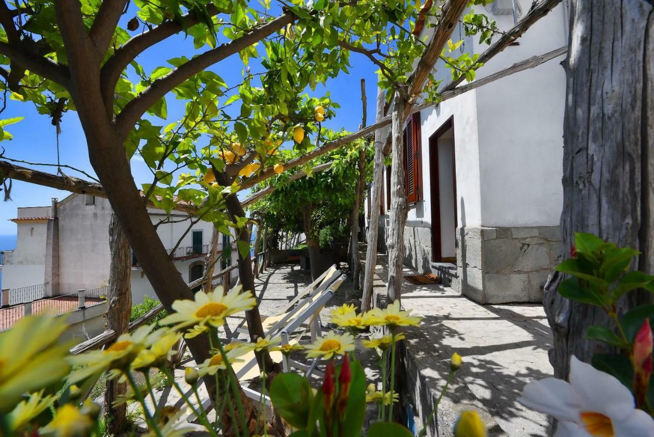 Dama Di Cuori Villa Conca dei Marini Ngoại thất bức ảnh